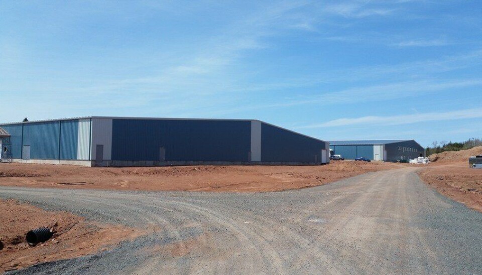 Instalaciones de AquaBounty en Rollo Bay.