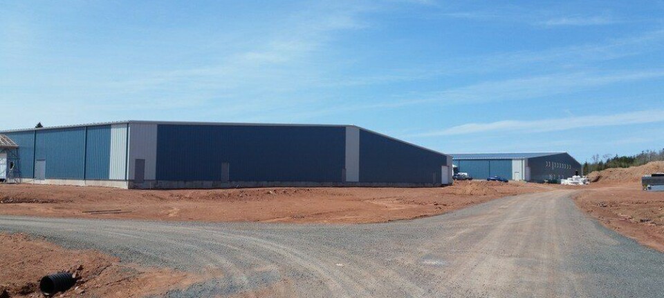 AquaBounty anuncia la venta de instalaciones