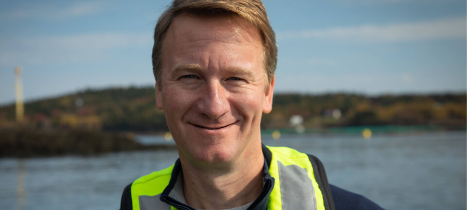 Cooke responde con fuerza: ONGs intentan obligar a los chilenos a perder sus empleos