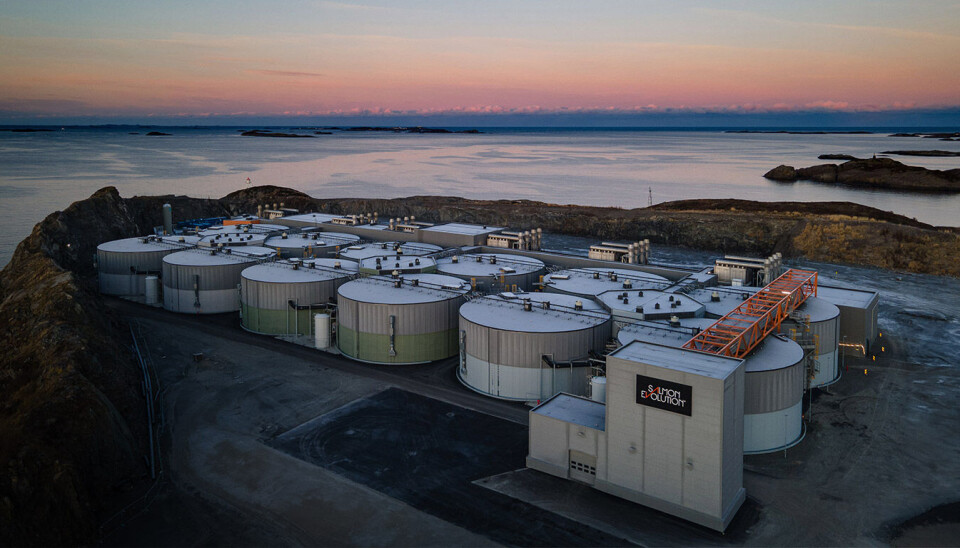 Fase 1 del centro de cultivo de salmón terrestre de Salmon Evolution en Indre Harøy.