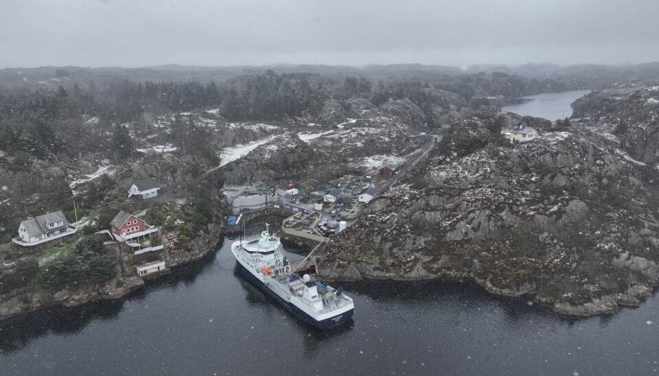 Foto: Peter Tubaas/Bremnes Seashore.
