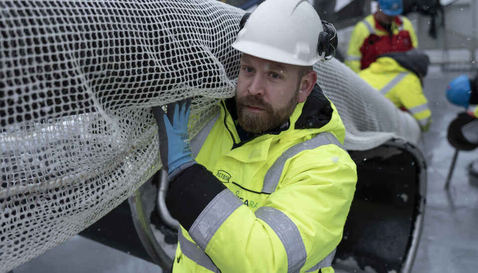 Foto: Peter Tubaas/Bremnes Seashore.