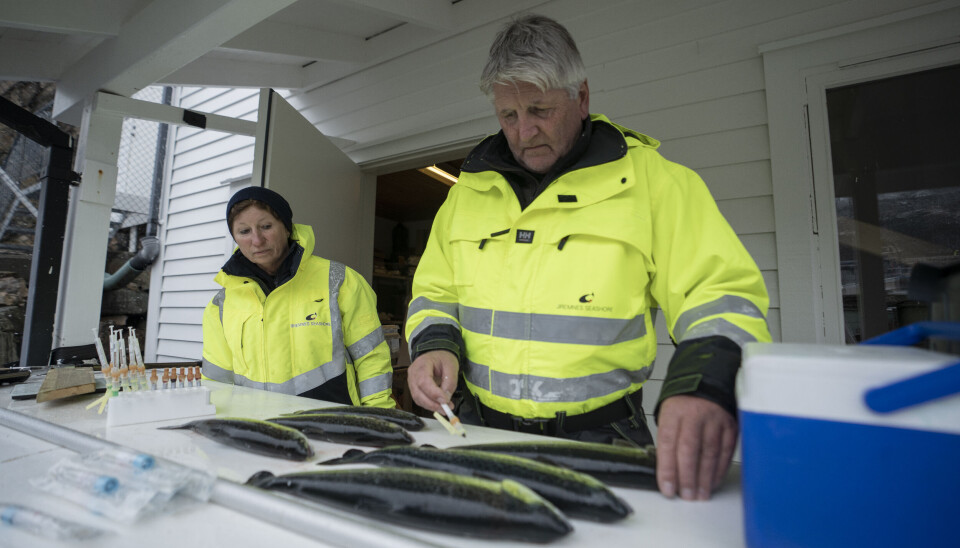 Foto: Peter Tubaas/Bremnes Seashore.