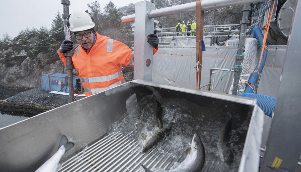 Foto: Peter Tubaas/Bremnes Seashore.