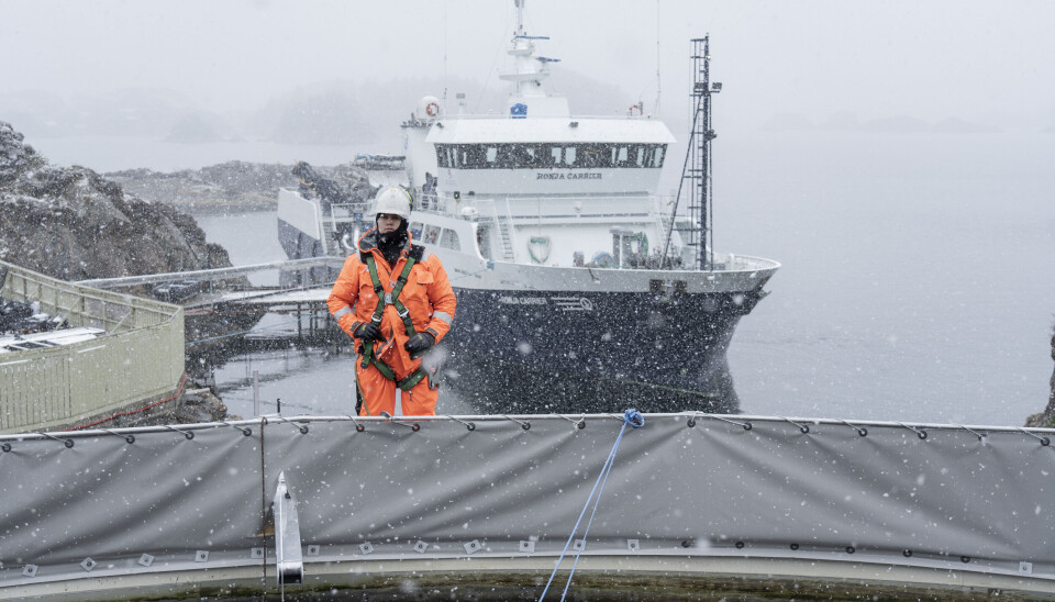 Foto: Peter Tubaas/Bremnes Seashore.