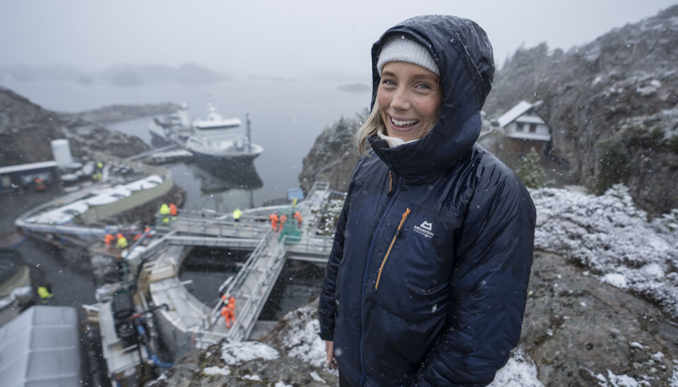 Mia Moseng, gerenta comercial de Searas.