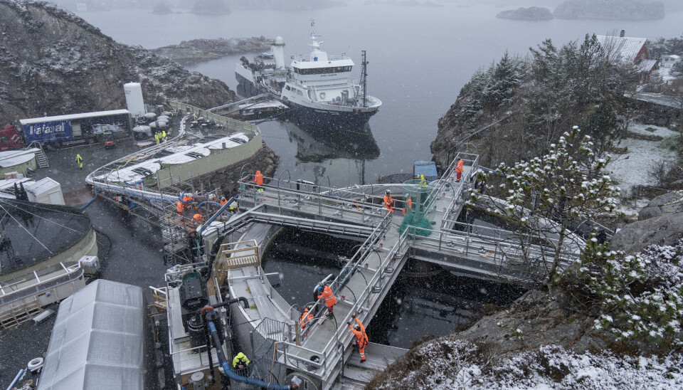 Foto: Peter Tubaas/Bremnes Seashore.