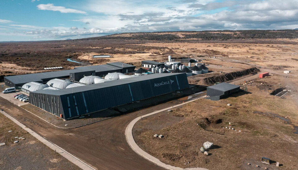Piscicultura Hollemberg del grupo AquaChile.