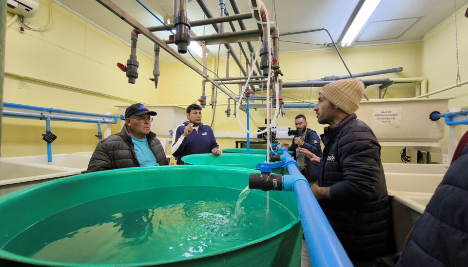 Foto: Centro AquaPacífico.