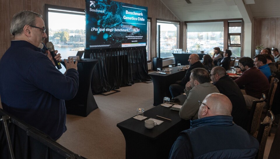 Foto: Xiamara Santana.