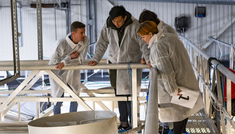 La conferencia comenzará con un recorrido por las instalaciones RAS de Nofima para aquellos que lo deseen.