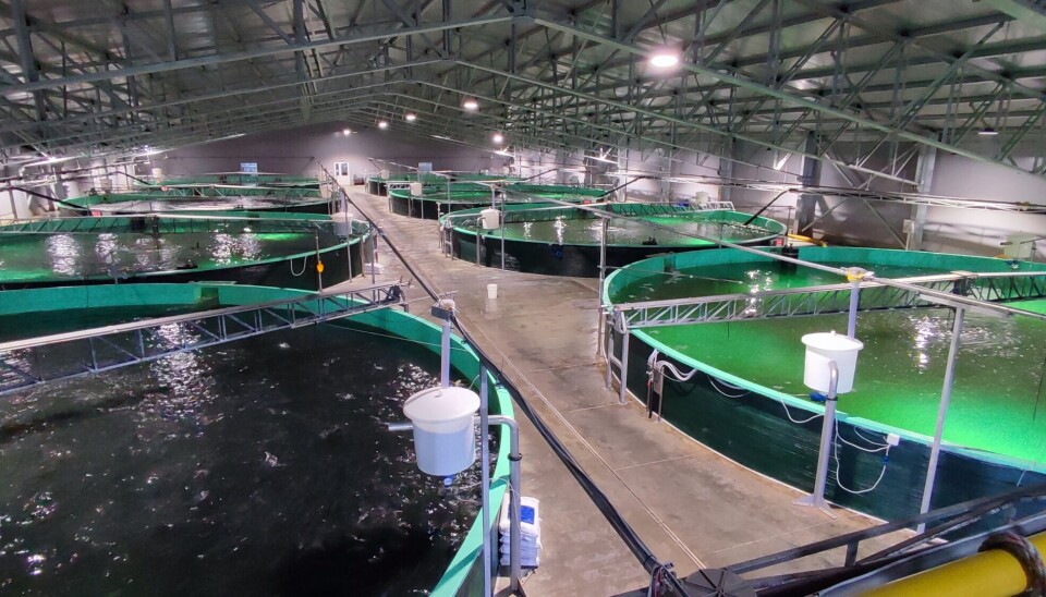 ¿Cómo fue la situación productiva y sanitaria de la salmonicultura en agua dulce? Piscicultura, estanques, agua dulce