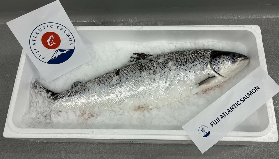 Los peces cosechados tuvieron un peso promedio de 4 kg.