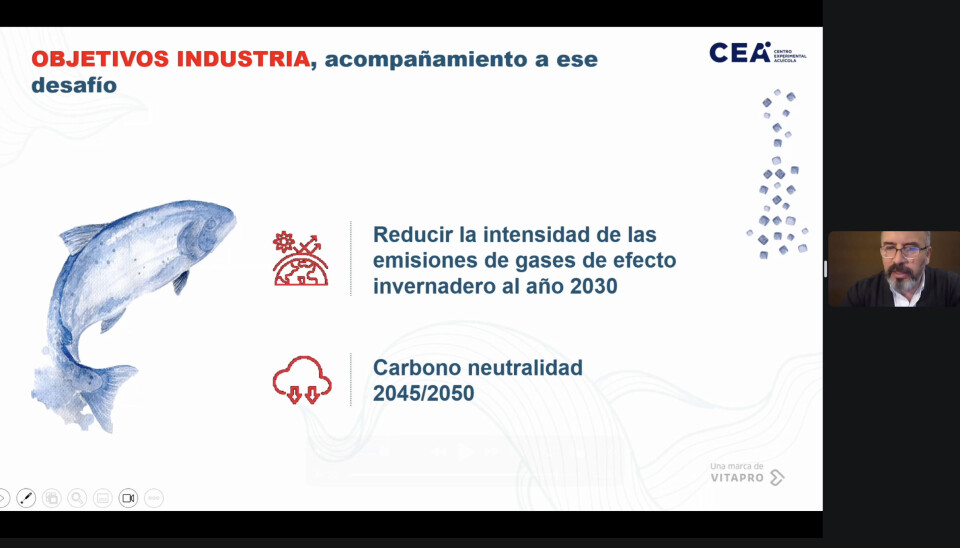 Imagen: Salmonexpert.